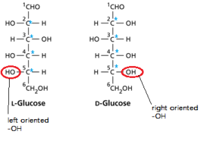 D-and-L-configurations-of-glucose